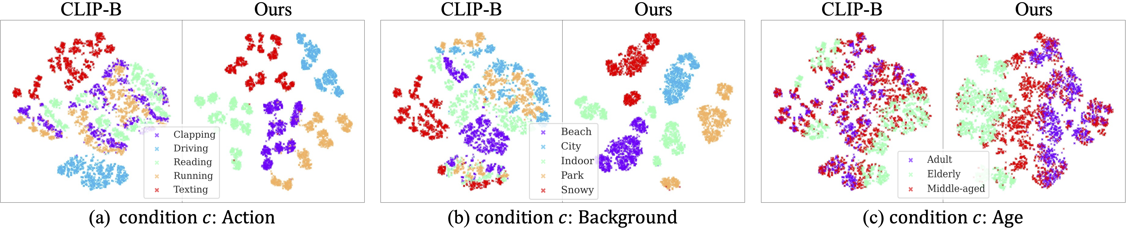 t-SNE Visualization